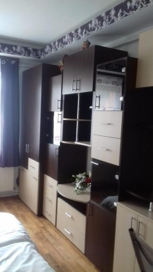 Alexandra 'S Studio Lejlighed Braşov Eksteriør billede